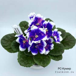 РС-Кумир (Репкина)